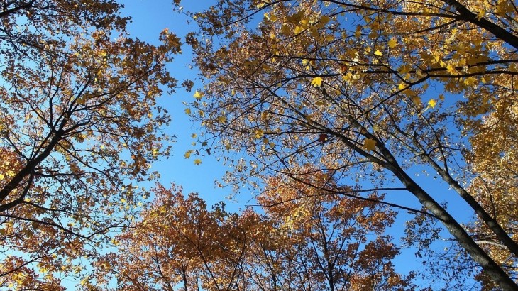 Así estará el tiempo en Mendoza este domingo