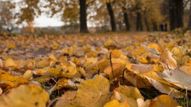 Zonda débil, ingreso de viento sur y probabilidad de lluvias en Mendoza