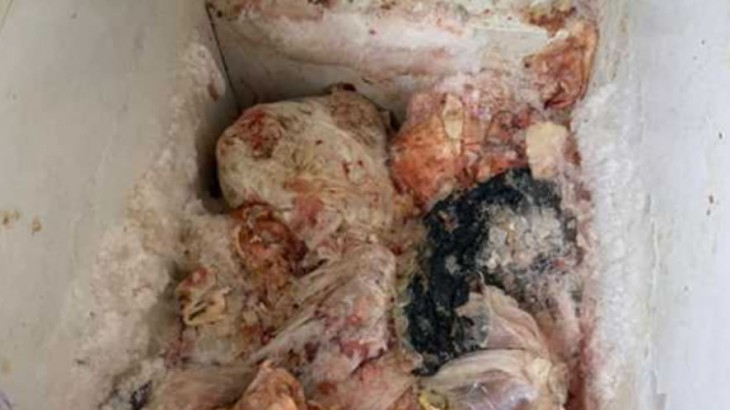 Decomisan 70 kilos de carne de cerdo en mal estado en un comercio de General Alvear