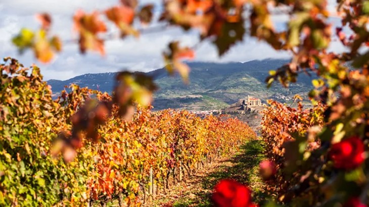 Jueves con nubosidad variable y temperaturas templadas en La Rioja