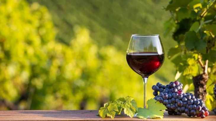 Día Mundial del Malbec: por qué se celebra el 17 de abril