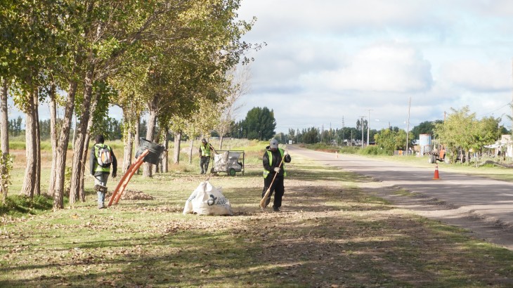 Operativo integral de limpieza y mejoras en barrio Zangrandi