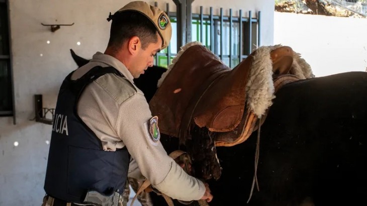 Seguridad rural: refuerzan controles y avanzan en medidas contra el abigeato en el Sur